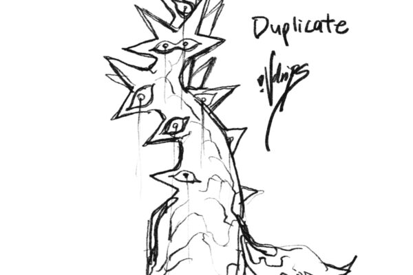 duplicate